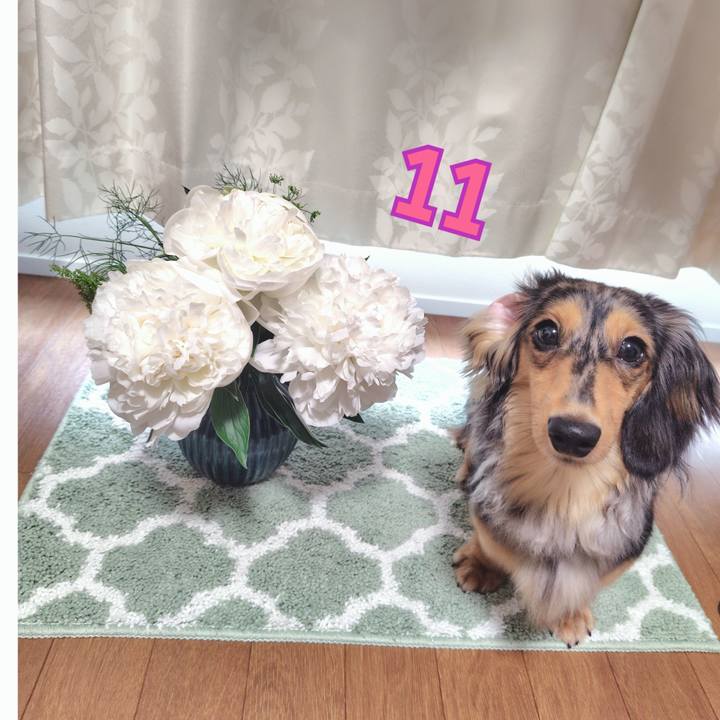 35029c84 422a 4bef be4b a1735a07250c 1718497404611