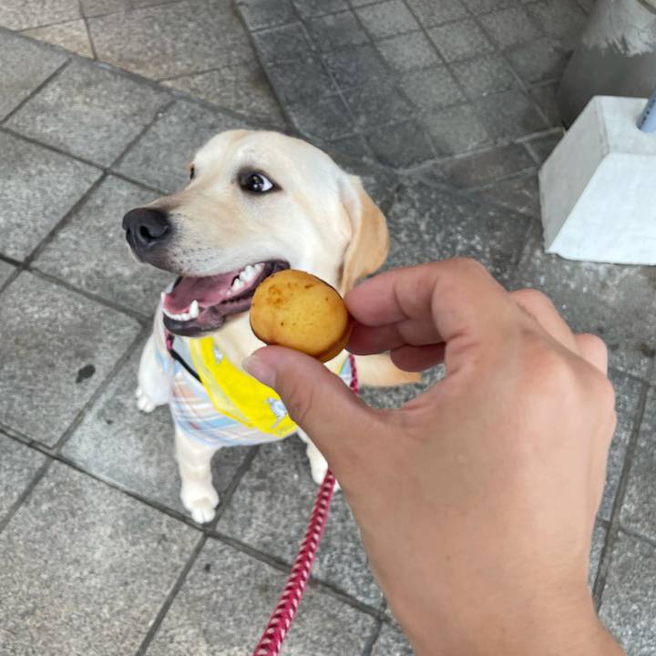 3502cfa2 8bac 40ba b7ec 6aa9bf330928 1625733481841