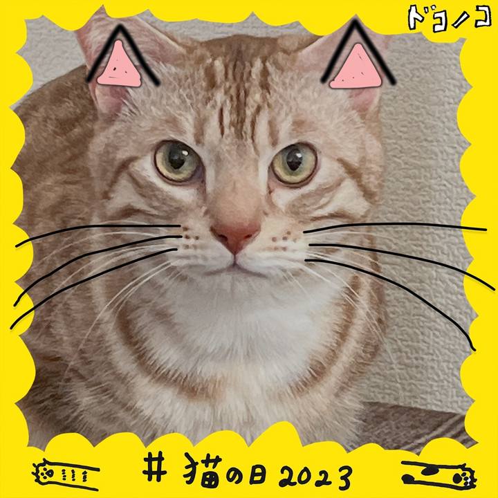 3502df0d 1f6a 46e8 a0d2 a7ca750e7e39 1677020756268