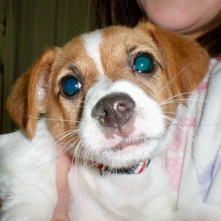 3502e6e0 76ef 46de b92b 820774ab60f6 1730730876736