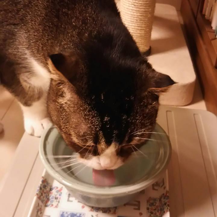 3502e7b4 a2f9 439c af2f 834d894b53ff 1523453438423