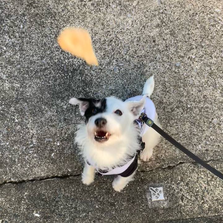 350321ee d12c 458c a16a e7e4f4c3a1bb 1730332548919