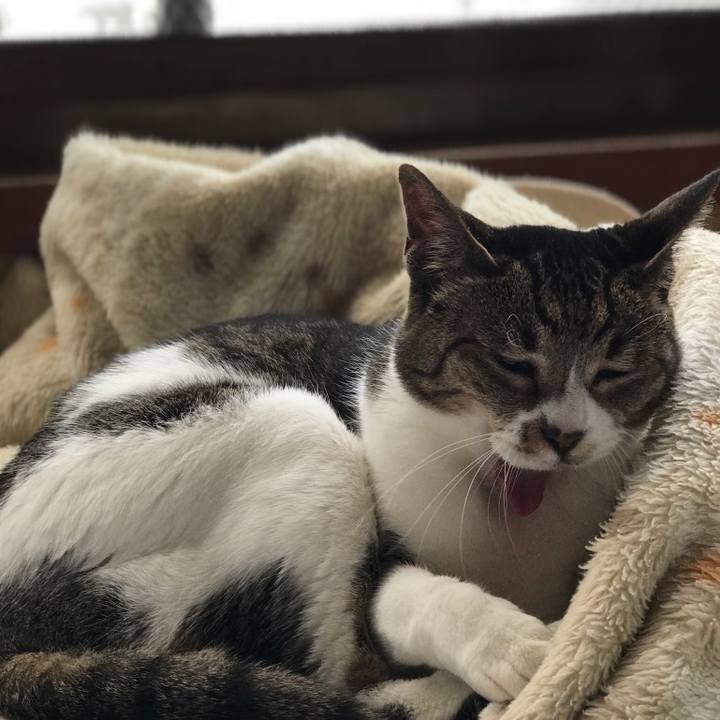 35033f7f dbb7 4334 901f b2d38bd194c6 1526607174218