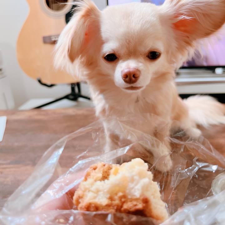 35035c42 0e88 42c5 996a 0f7634536f52 1655959542480