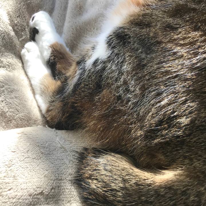 35038202 b91a 435c 944e 31ce69886e99 1575805164078