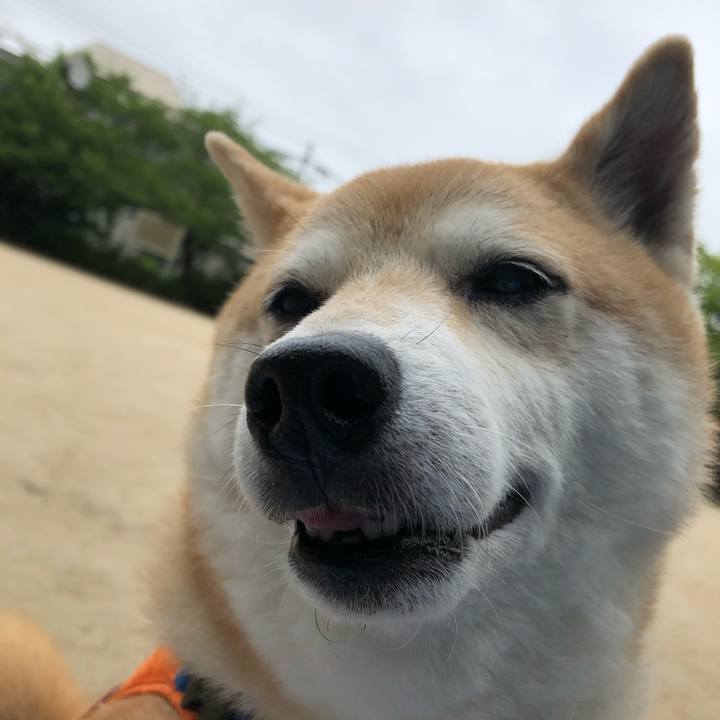 35039f3d af59 424d 8641 ba125f73ee5e 1593046108572