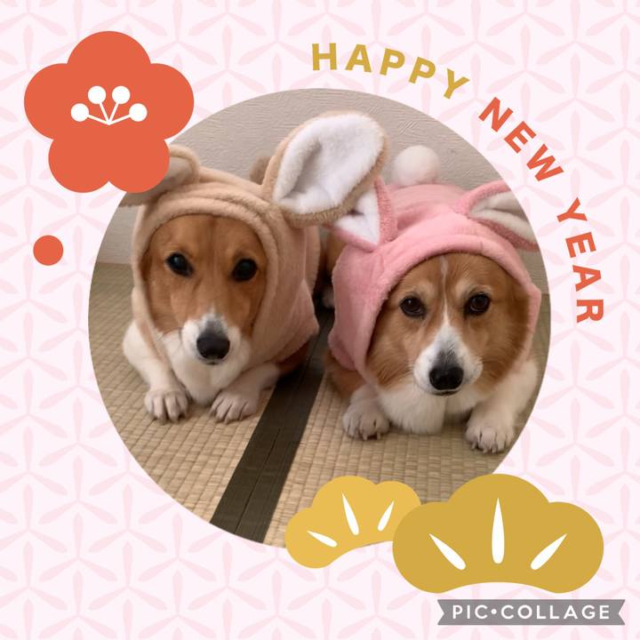 3503d3fb 9b52 44ec aa9d 00f236e3b5a0 1672562287679