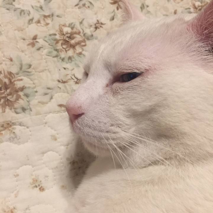 350403d7 bc0f 4927 97b8 23d8e84d44f6 1526566611820