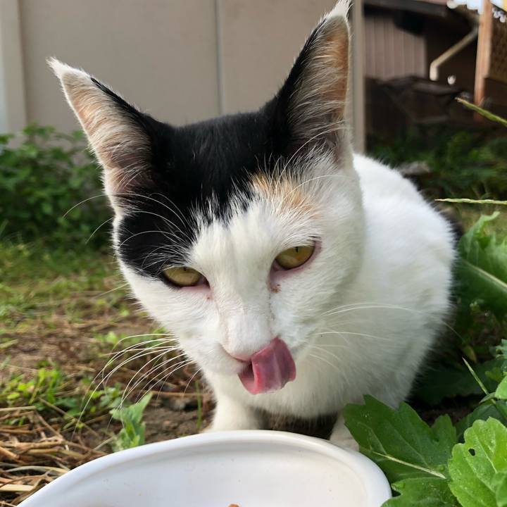 350433be 66ca 4e2a ac3a c49a20e2b358 1600726413724