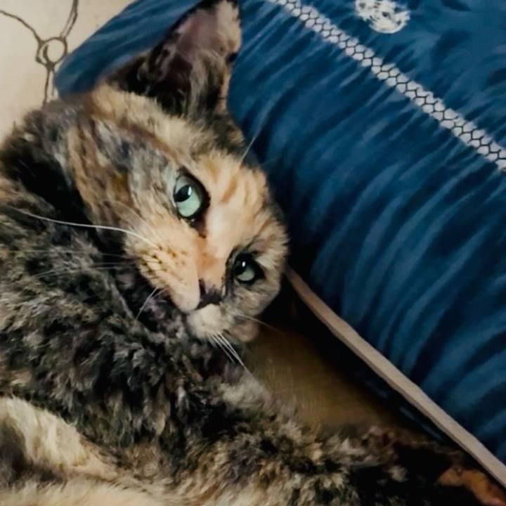 35043a4c 21a9 40cf 9ebe 43a7846cd141 1754623038037