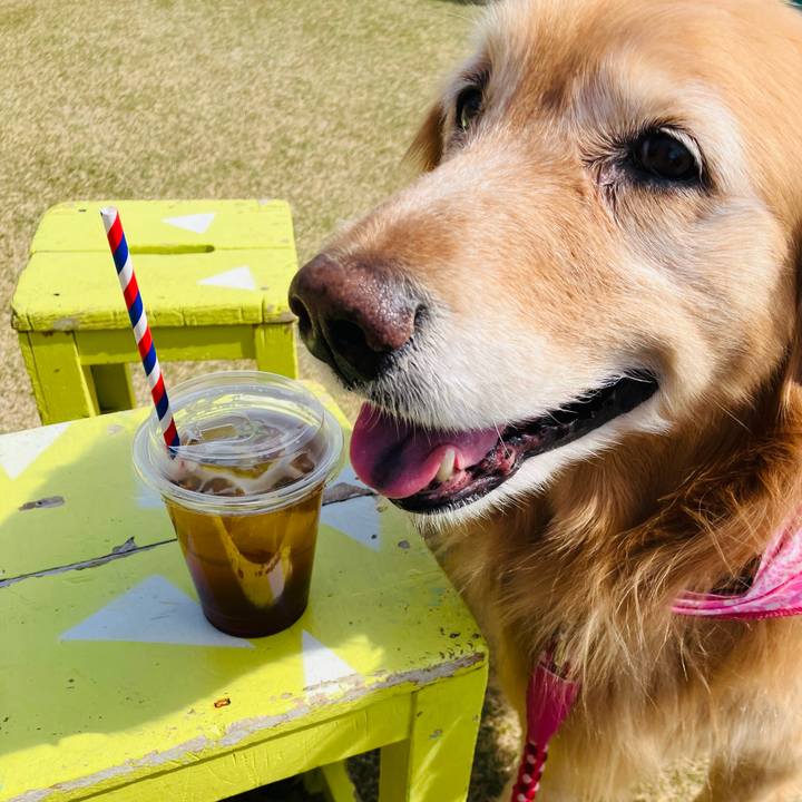 35043f3a 1493 4307 aa27 58418b164930 1776586869427