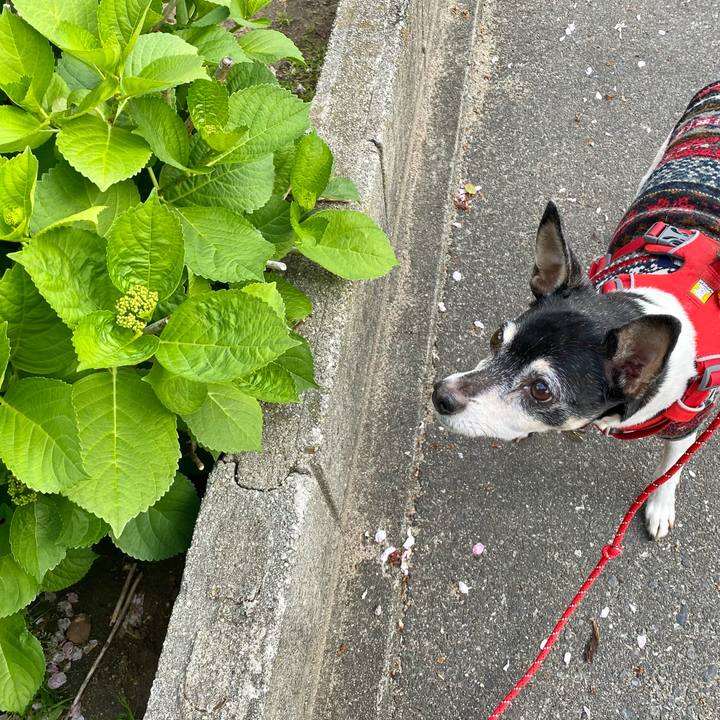 350454c0 237d 498a 993d 71ec6cf684ae 1617832764024