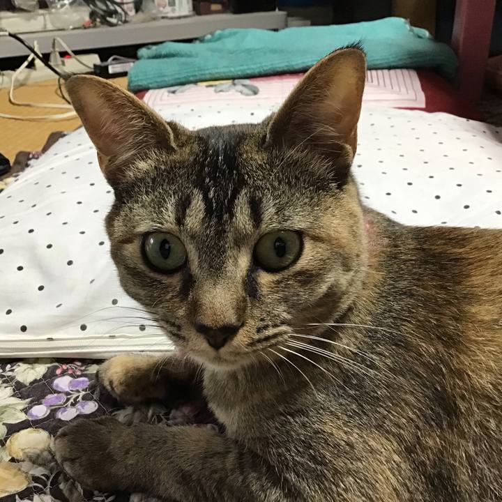 350454df c760 43ef b6ee db528ab90d75 1593495726756