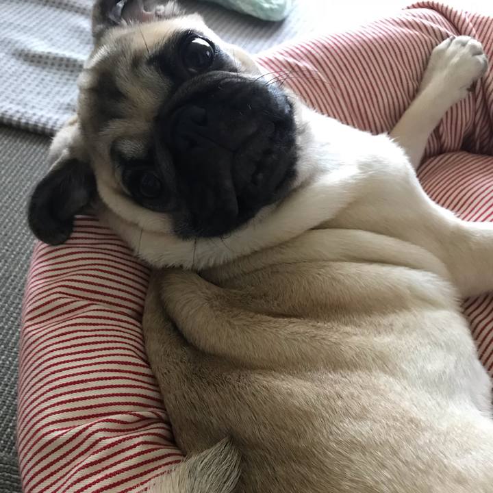 350462d7 cd8d 4db6 8053 5ccfb8b0886a 1538744405265