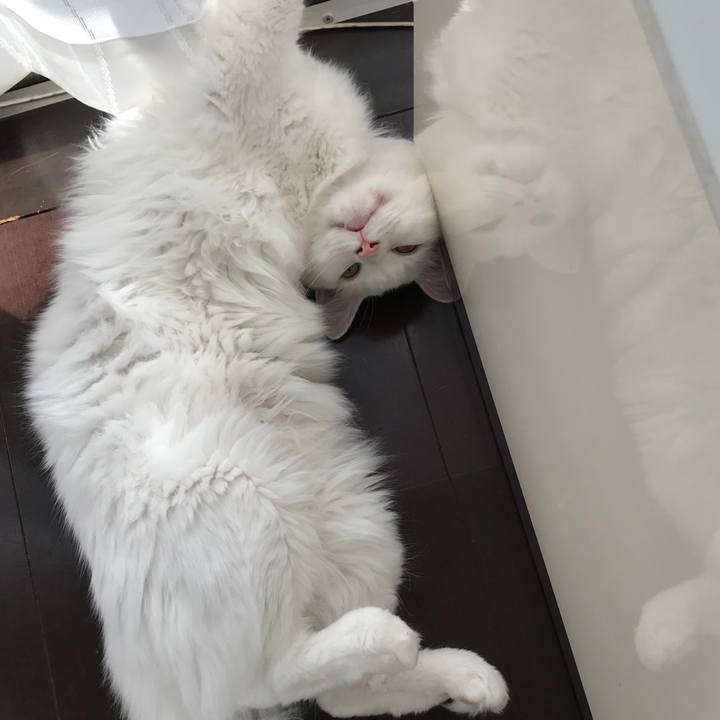 3504cb15 67ad 4c70 958f e14bb1ed7cf5 1525004958547