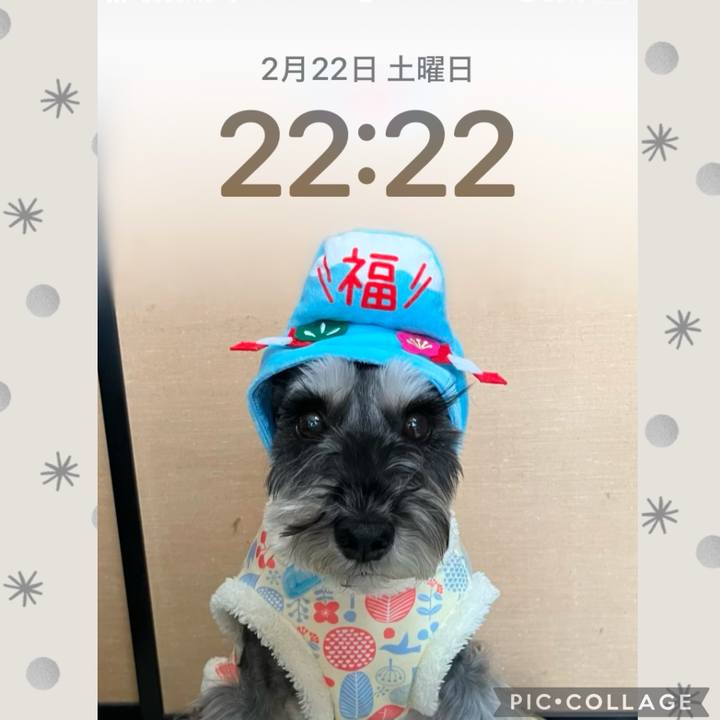 3504cc11 63a9 4351 8b05 2d5b07ebb274 1740230984655