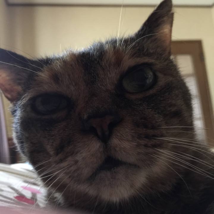 3504dae2 60a9 475a bb2c e95e68bf735a 1528843349449