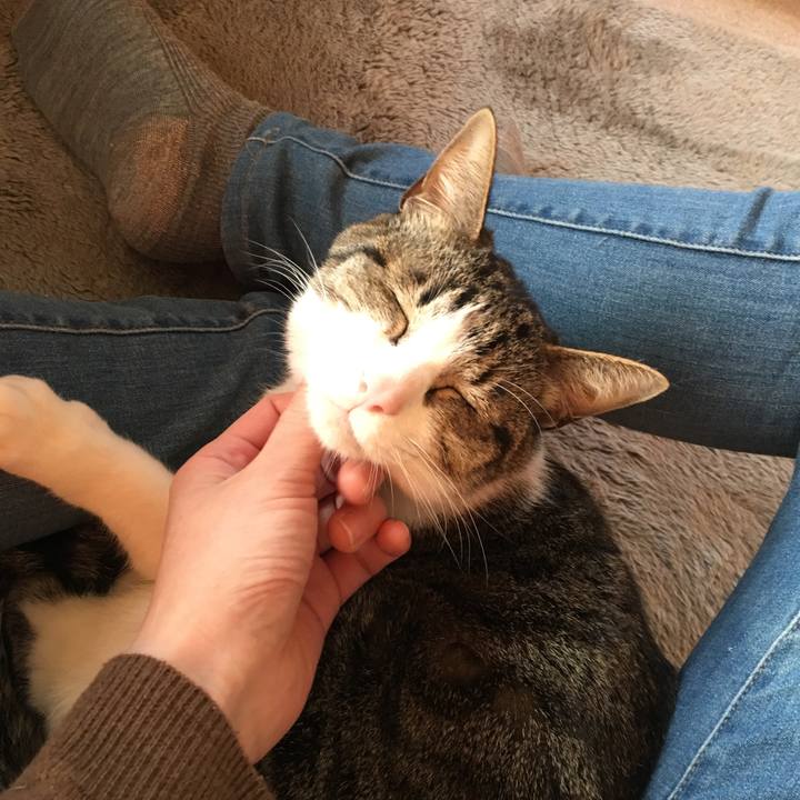 35050ee9 52c0 4380 9ce9 0186f7b7d7e5 1520844678037