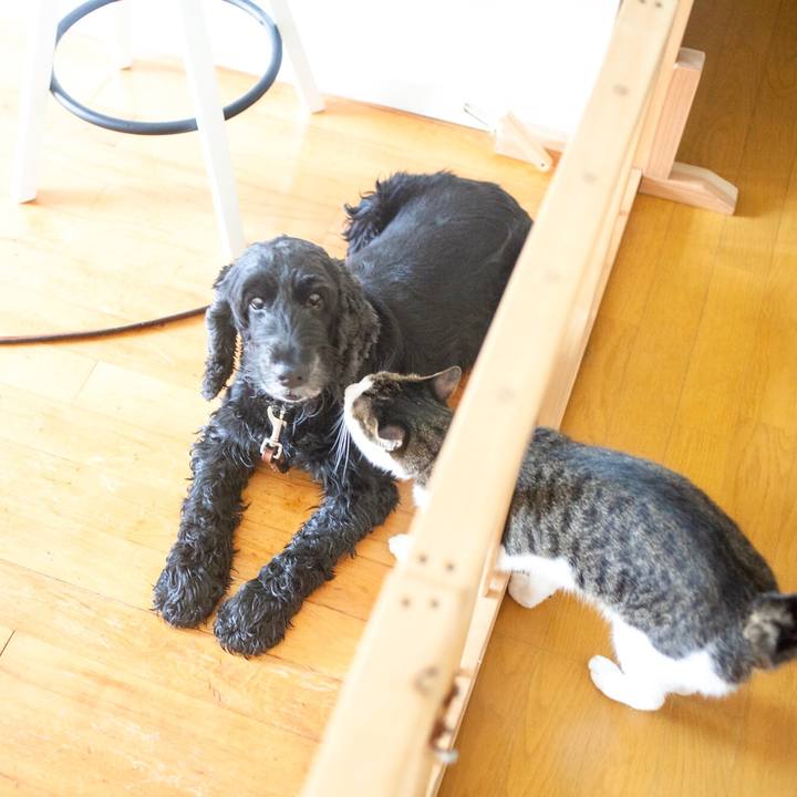 35051718 7e52 40cc 8e23 78eaf220c76f 1596433146452