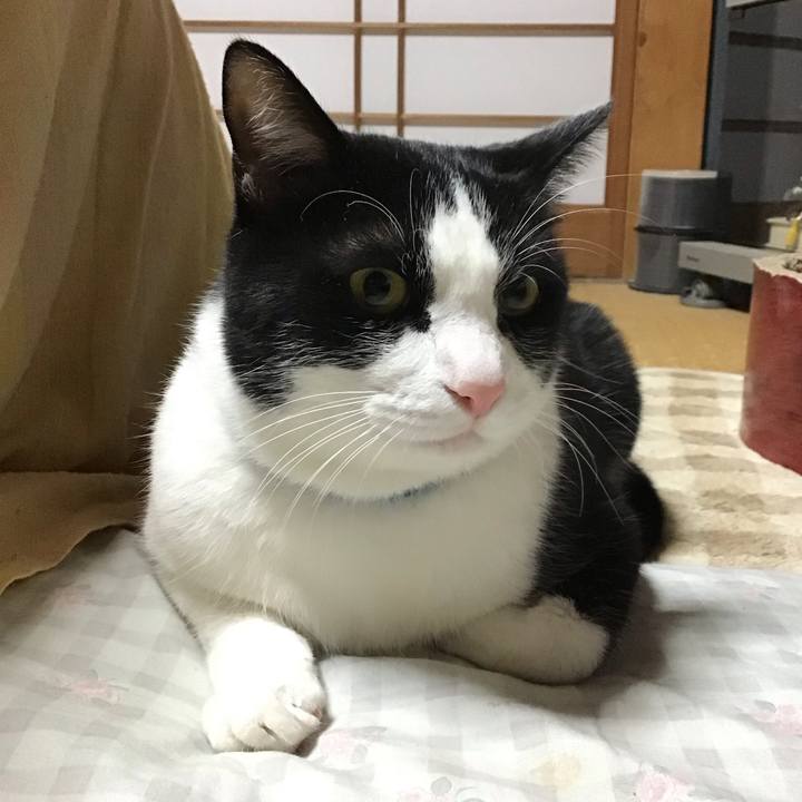 350534a2 c1f6 428e b927 c3ffd80de37b 1703417627897