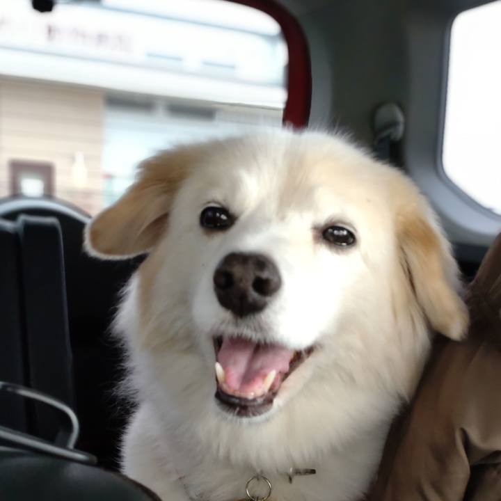 35057159 d083 4ba7 8ca5 64cd5d17732f 1647647577517