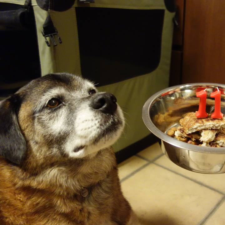 35059b82 d0d6 4c85 8bed 858bb2b4cb20 1546261189630