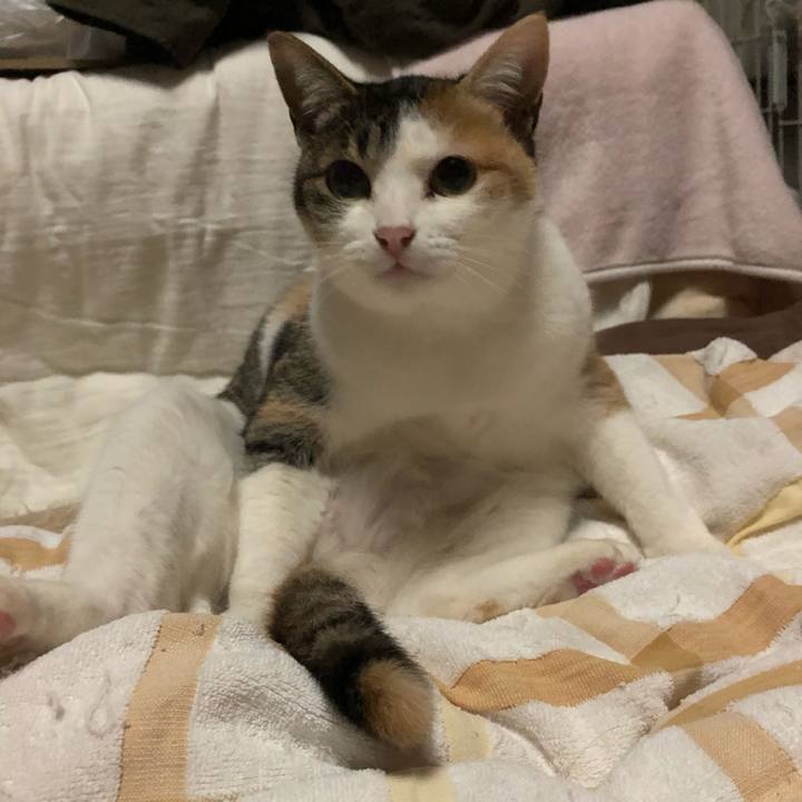 3505bc24 54d5 4a9c b917 b16e9efb4045 1582829723685