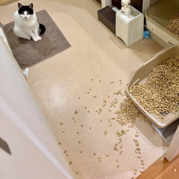 3505de45 67fd 41af aeb7 5008ba640e89 1764423709886