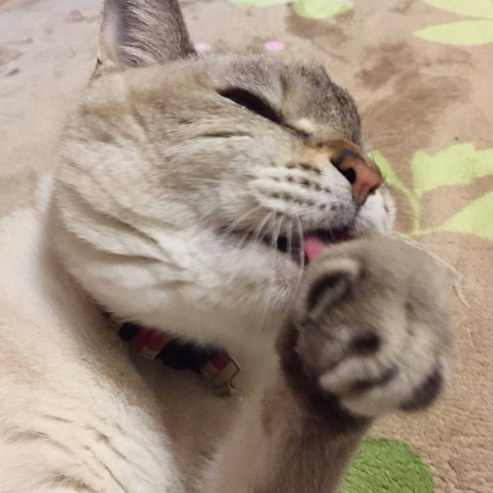 3505f67d 96a3 41d6 9e57 32fb713eea90 1542368673374