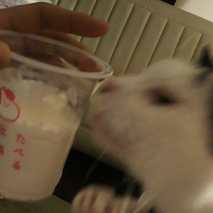 35060494 4698 423c ba8d 719be675847d 1556289280019