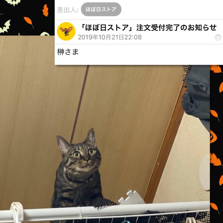 35063a4a a453 445e 84f5 9f1c839d3ea4 1571664769844