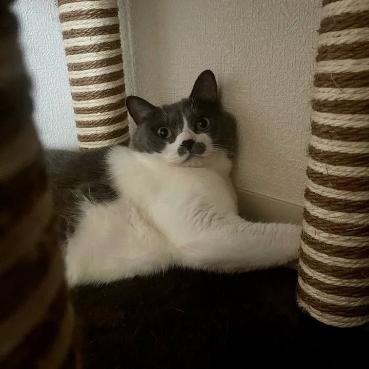 3506803d b8ba 4f29 bc81 ad6d4ed54ac2 1693786447425