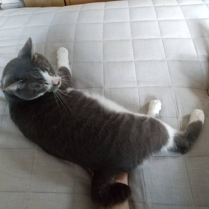 3506839b 2401 4a98 beab 5c0b60983095 1598580280170