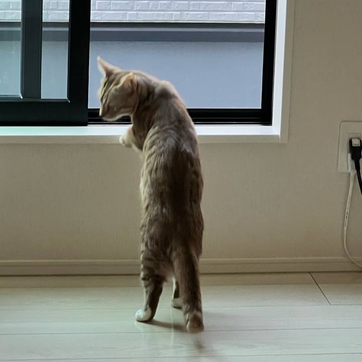 3506862f c6e7 47dc b666 f883587efbee 1684757608755