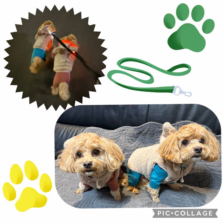 35068a1e 82b2 408c 9651 0ea66cec8f52 1768652769496