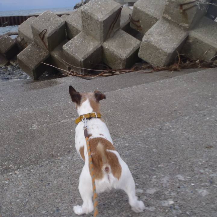 3506b5c0 80a7 406b bfd4 7f640872bfbf 1516271713155