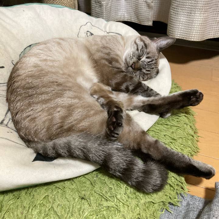 3506e5e8 5ae0 4b1f 96ee 6cc0425c99ee 1765119158535