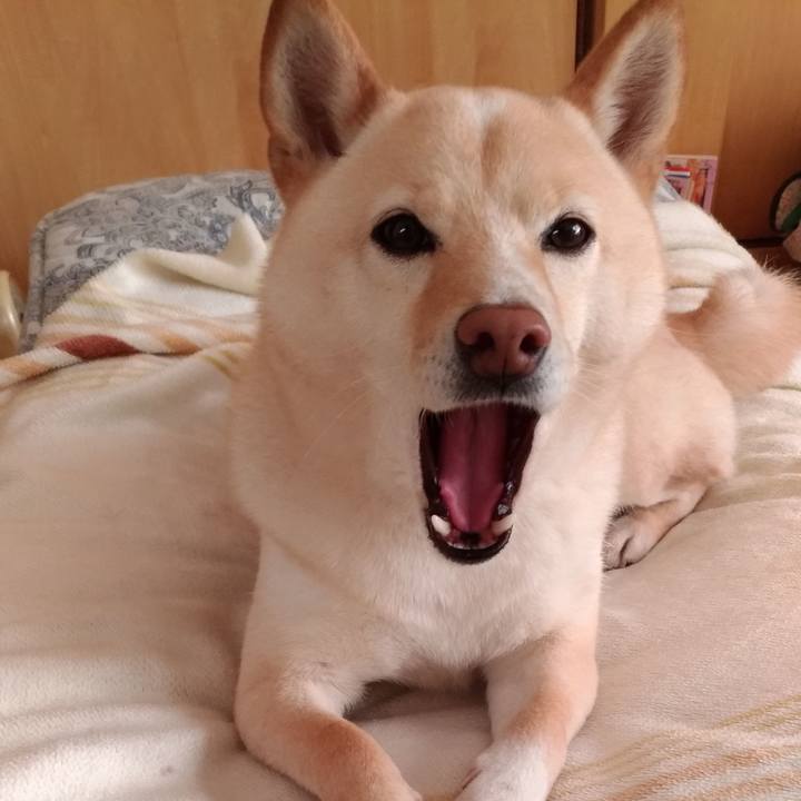 3506e7f9 59cd 4f96 8c3f c116c8ff27f3 1613258248008