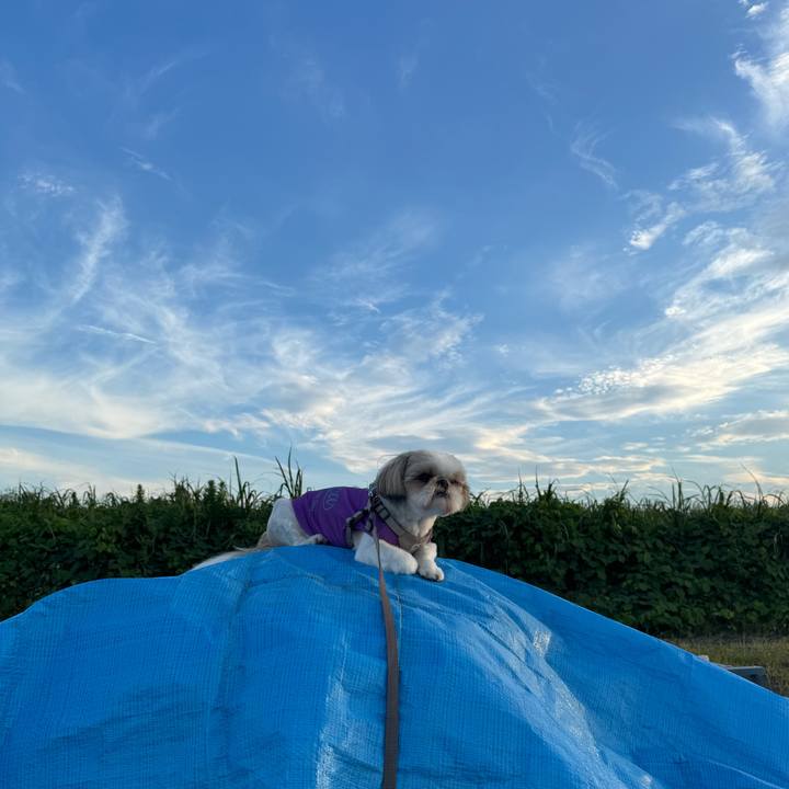 350713fc e9d7 43ab 8d0f 97cc7b3d1313 1721387061535