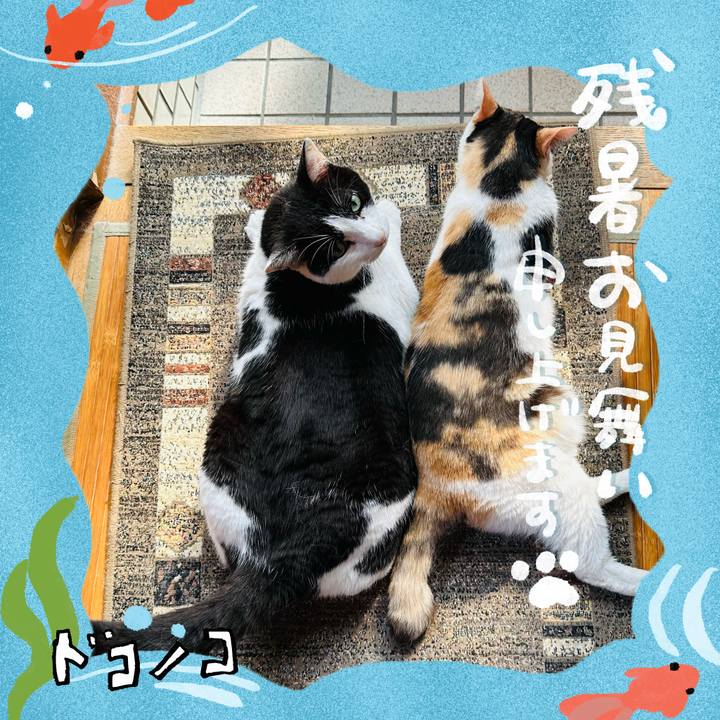 35075bd5 f0c0 429a be1e ce46030c4f84 1723686916418