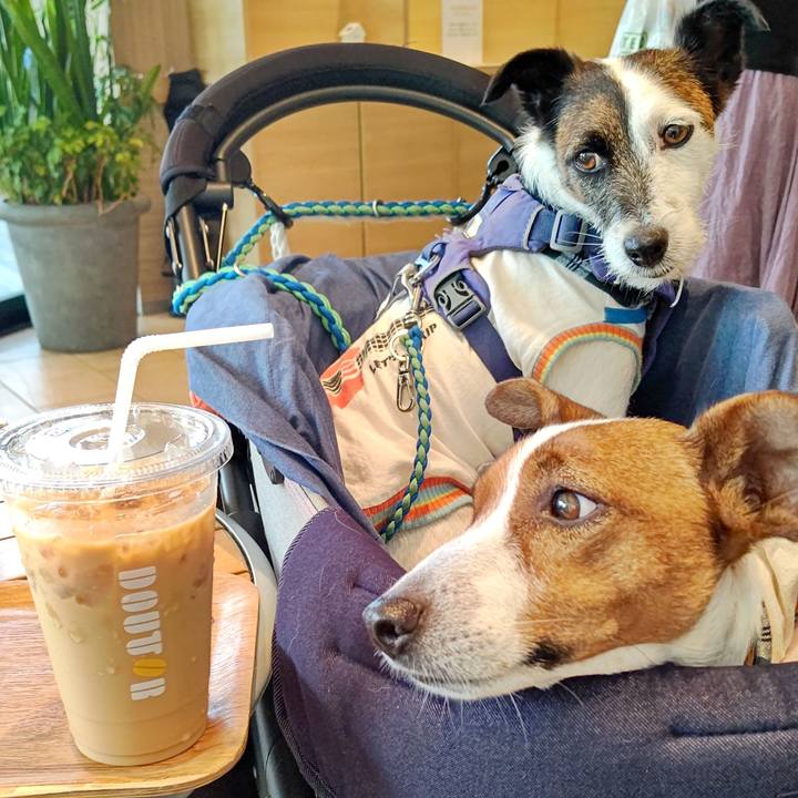 350762a2 10f2 47e8 914e 909dcfcf6afd 1657437863946