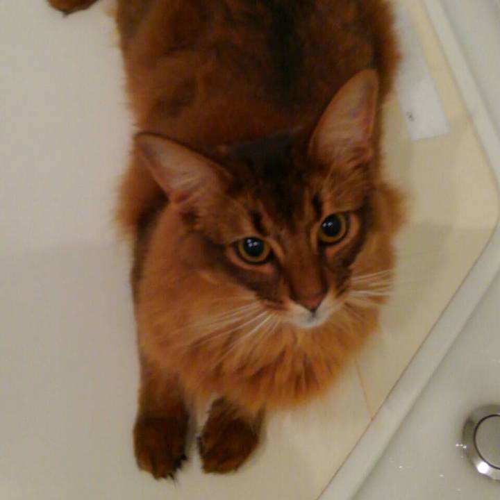 35077958 8d55 4ff3 abad d0e2deee197a 1625092905143