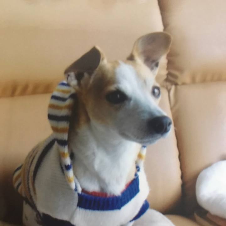 35078171 ecc9 456f b8c3 f4aa16905287 1558616089843