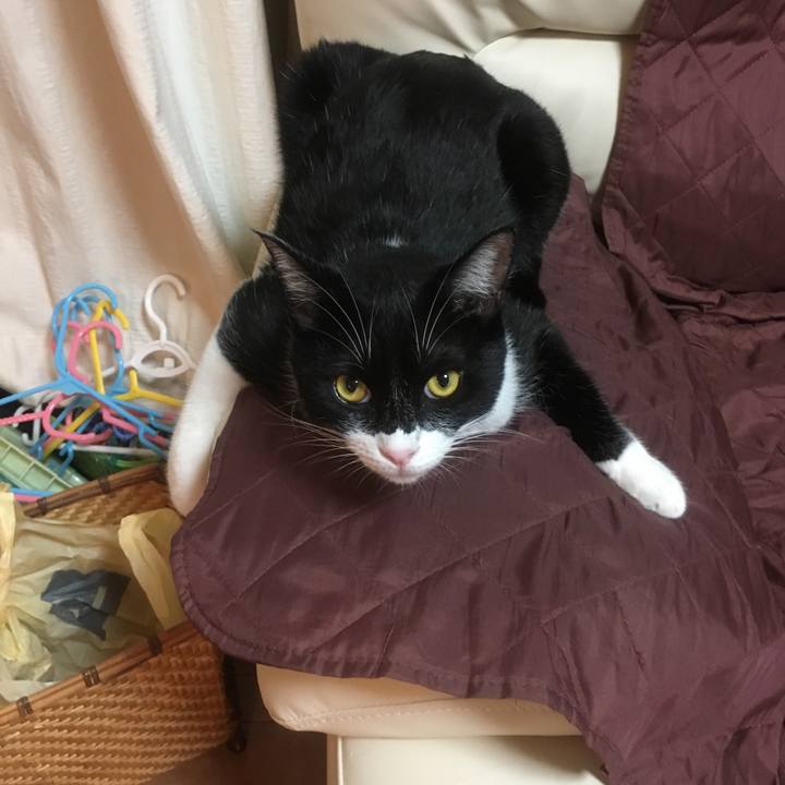 35079c78 56da 46cc b8f9 7dd7cb35a6a0 1537390341707