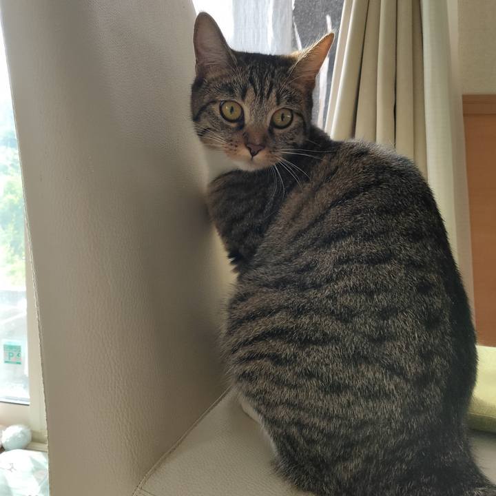 3507a181 efce 4fee 8f16 5fbc1a04e107 1663462338077