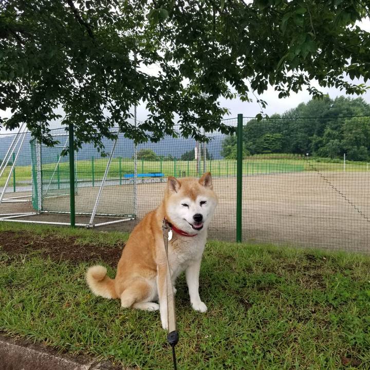 3507a411 2855 4d5b b487 c4164cf7fffd 1719542235373