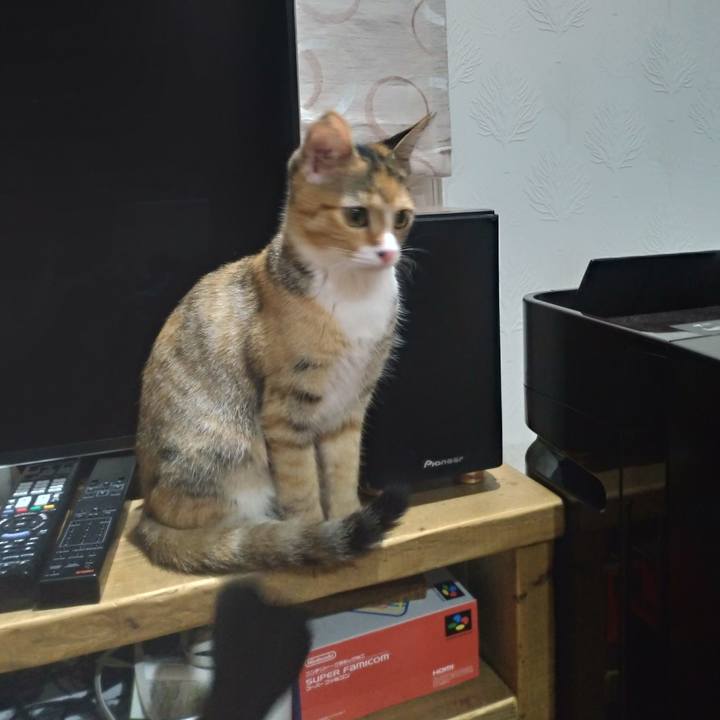 3507a8ab 2bee 4281 8c44 3a0f59b1d32f 1576019487671