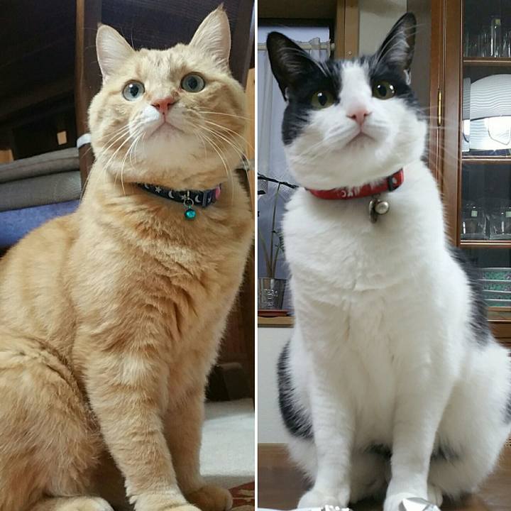 3507ba47 1d77 40cd 8676 569e68854d70 1577841799784