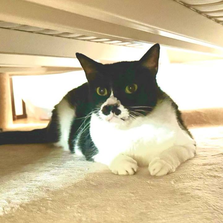 3507ce81 10eb 41cd 949c 692d49e47ffd 1726704250115