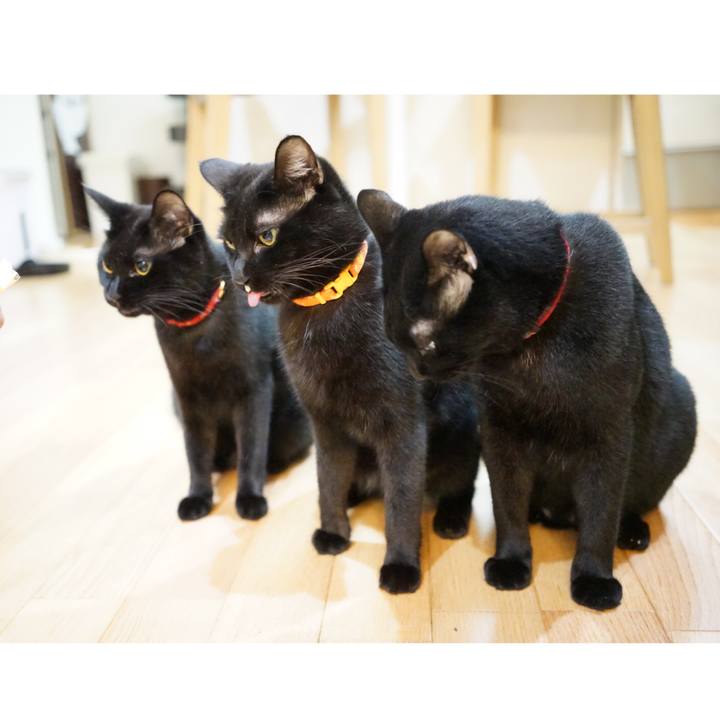 3507ddbb 19c2 43f5 8447 0800825309a3 1540619751942